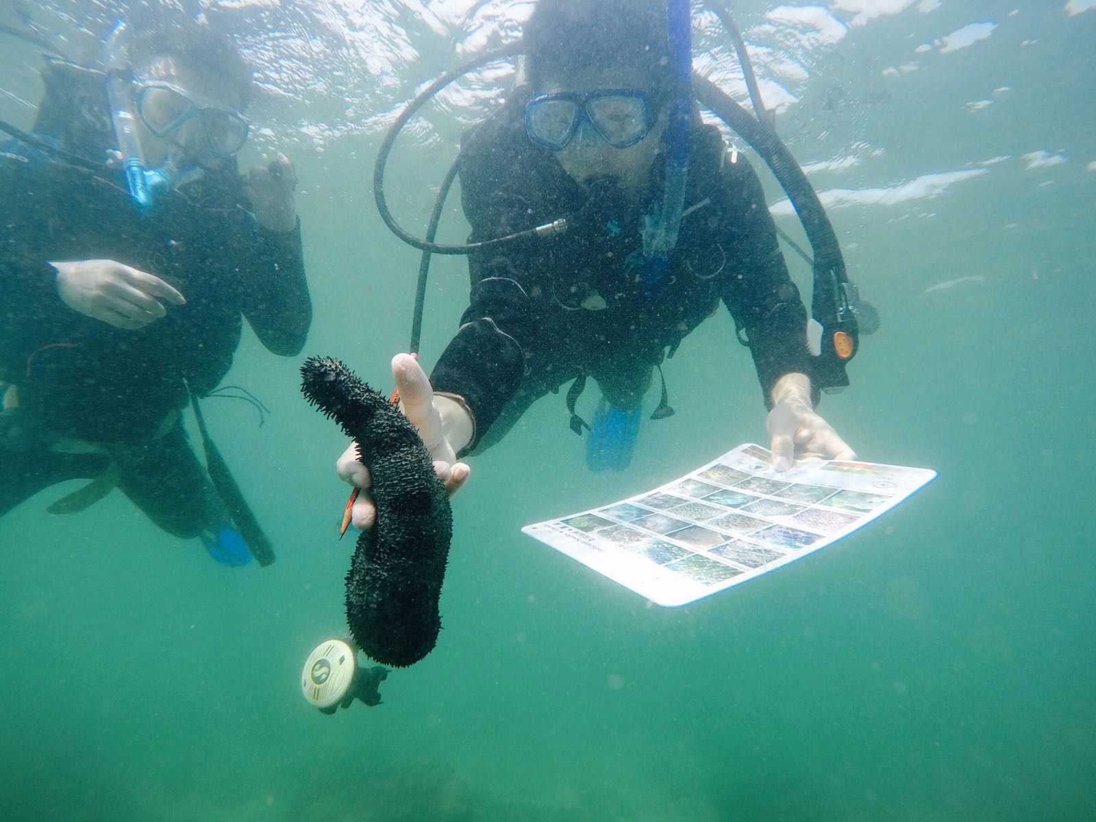 HKUST Launches HK’s First Ocean Science and Technology Degree Program