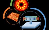 Breakthrough by Prof Kei May Lau and Collaborators to Make Microprocessors Faster and Less Power-Hungry