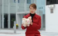 Smart Toy Pig Speaks to Consumers’ Hearts
