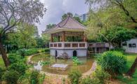 Beautifying the Chinese Garden Pond near staff quarters tower 15-19 could be a symbol of our university 