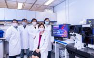 HKUST Vice President (Research and Development), Professor Ye Yuru (second from right) and his research team members - including the co-first author of this research paper, PhD student Ms. Duan Yangyang (first from right) - use the laser confocal imaging system to demonstrate How gene editing technology can reduce the pathology of the disease by destroying genetic mutations in familial Alzheimer's disease.