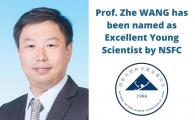 Prof. Zhe Wang has been named as Excellent Young Scientist by NSFC