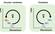 HKUST researchers find new way of gaining quantum control from loss