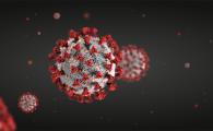 HKUST & HKUMed Joint Study Reports Broadly Neutralizing Antibody That Protects Syrian Hamsters against SARS-CoV-2 Omicron Variants