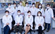 HKUST Scientists Identify an Innovative Strategy Targeting a Blood Protein for Therapeutic Treatment of Alzheimer's Disease