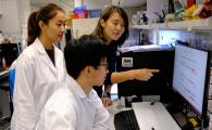 HKUST Breakthrough Identifies Rare Tumor Cell “Spies” Shedding Light on Previously Hidden Cancer Features