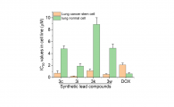 Novel tridimensional anticancer agents developed to fight against drug-resistant cancer cells