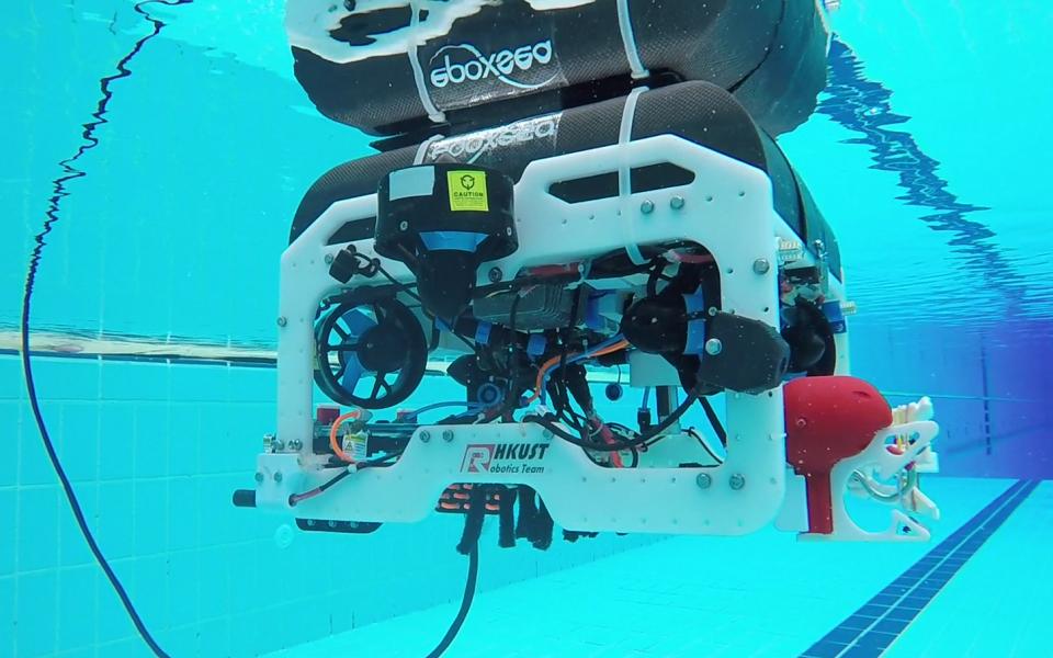 Beluga in action underwater.