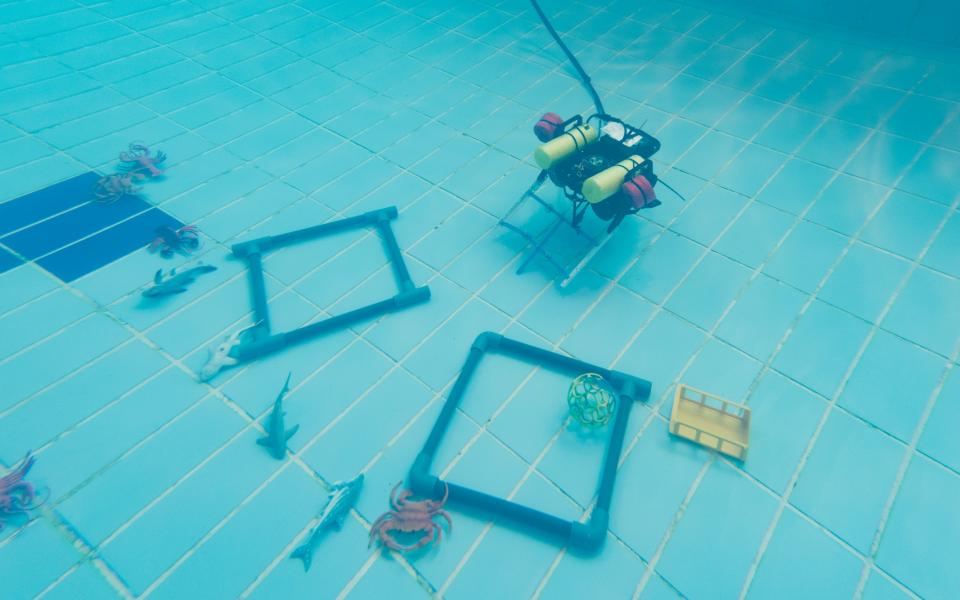 They have to control the robot to collect underwater objects.