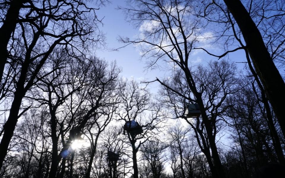 Many locals protest against the expansion plan of the mine by living in the tree houses they built at the Hambacher Forst, which will be cleared for the expansion