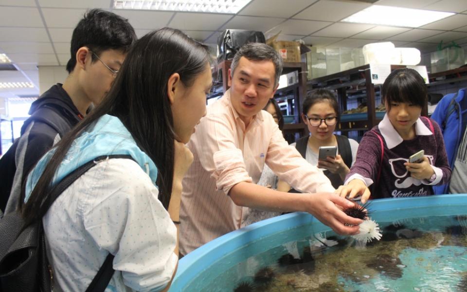 Prof Stanley Lau (middle) showing the sea creatures to mentees at the marine laboratory.