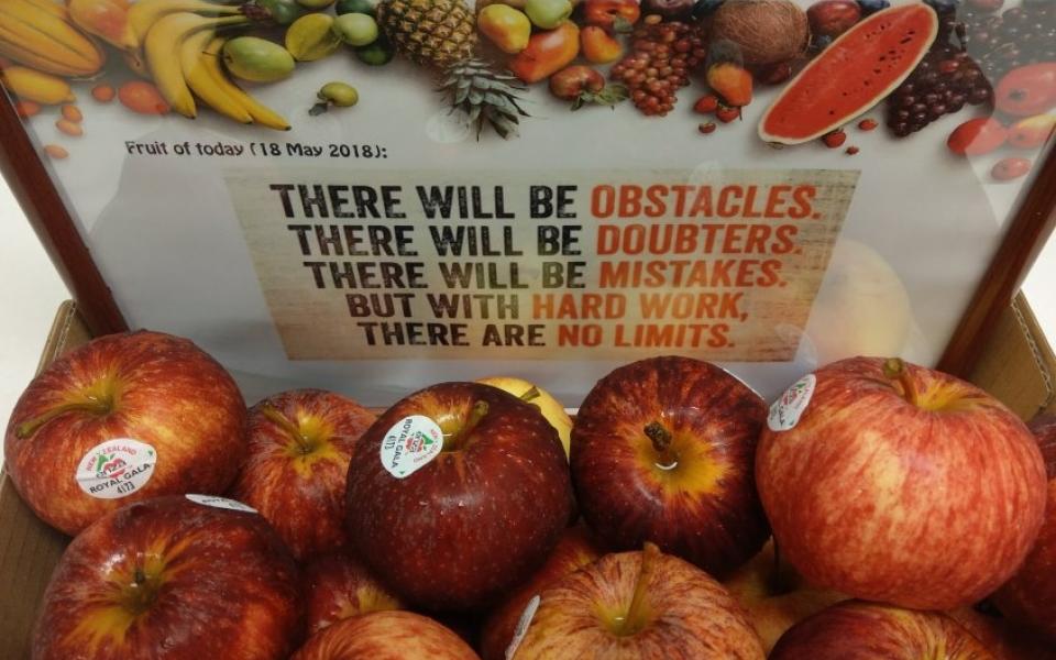 Day 3 (18 May) - There will be obstacles. There will be doubters. There will be mistakes. But with hard work, THERE ARE NO LIMITS