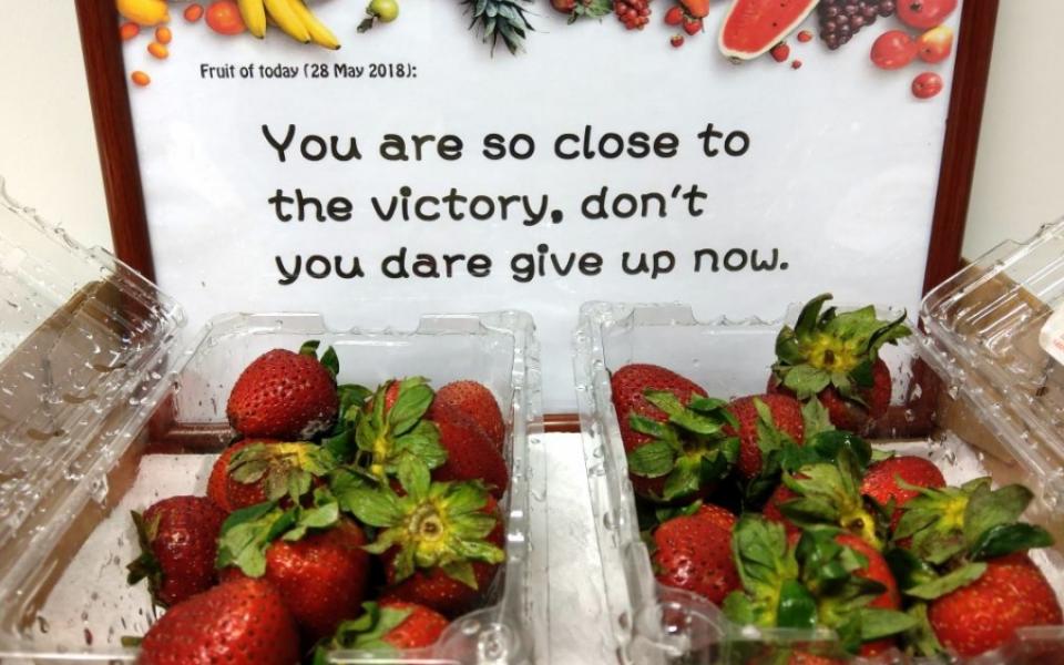 Day 8 (May 28) - You are so close to the victory, don't you dare give up now