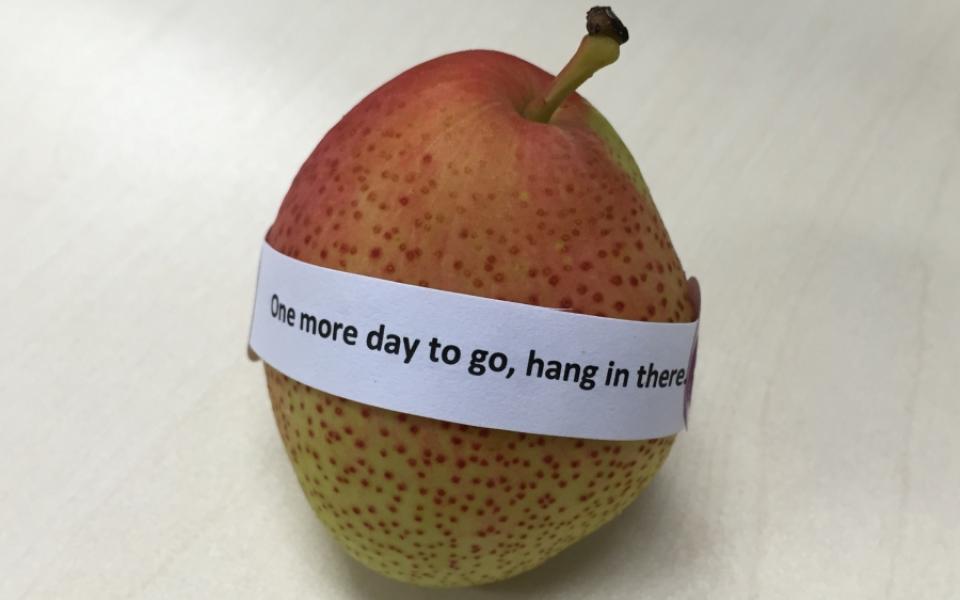 Day 9: One more day to go, hang in there.