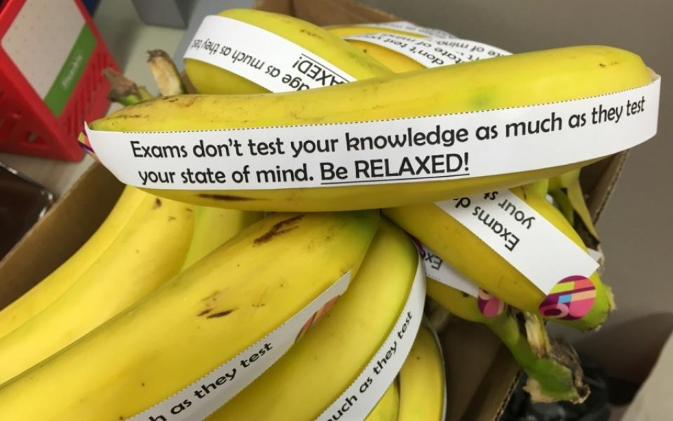 Day 3 (18 May) - Exams don't test your knowledge as much as they test your state of mind. BE RELAXED!