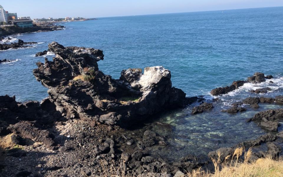 Yongduam Rock shows the oceanfront volcanic rock formation in the shape of a dragon's head