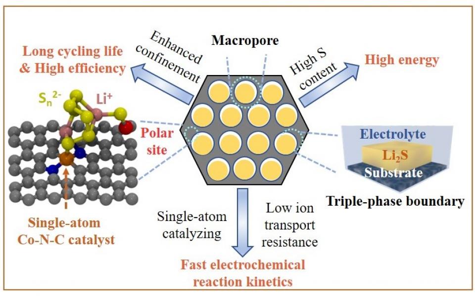 An all-in-one solution for the design strategy of macroporous host with double-end binding sites.