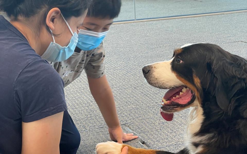 A dog shaking 'hand' with students