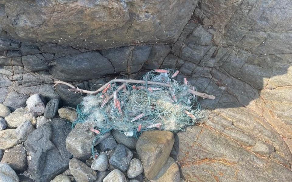 Fishing net found on the beach.