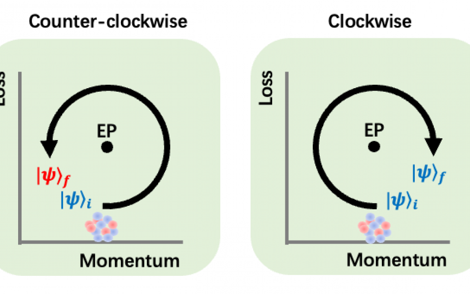 A new study finds that quantum state evolution is direction dependent in the parameter space of dissipative spin-orbit coupled system. Credit: Dong Liu