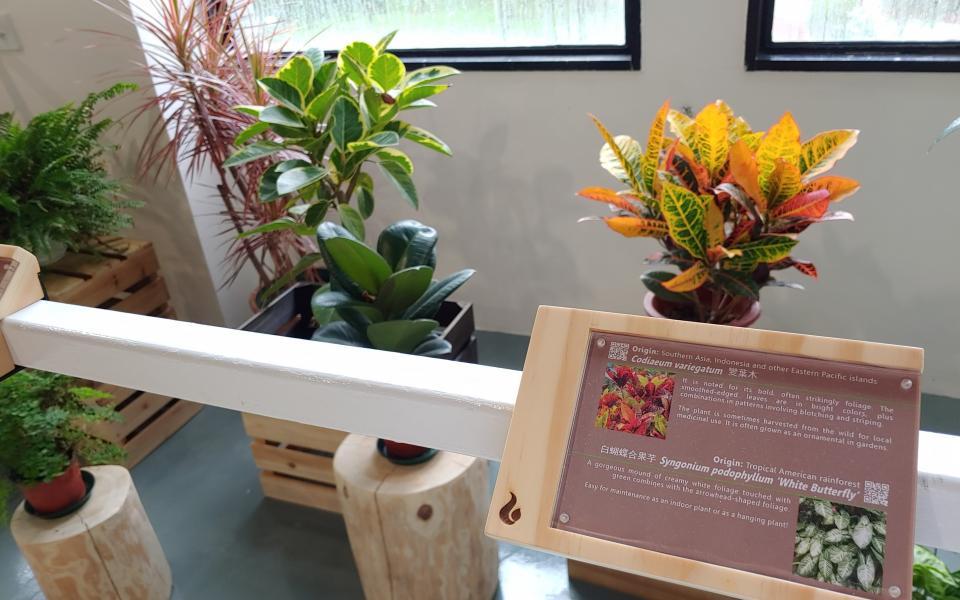 The new Green Corner will provide information on the selected plants with information tags displaying the plant origins, unique features and fun facts. 