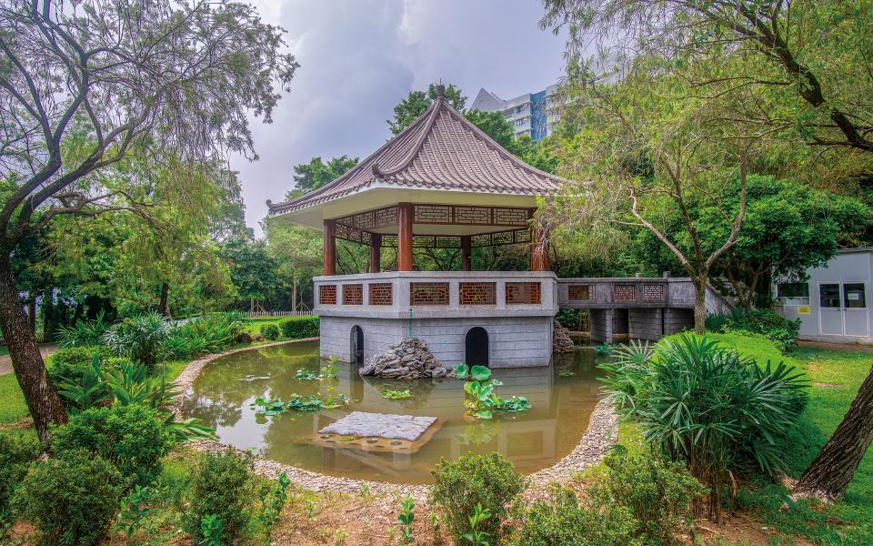 Beautifying the Chinese Garden Pond near staff quarters tower 15-19 could be a symbol of our university 