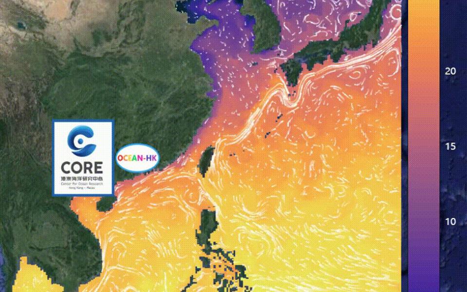 公众可在平台上读取或下载不同海洋物理和生物地质化学数据。