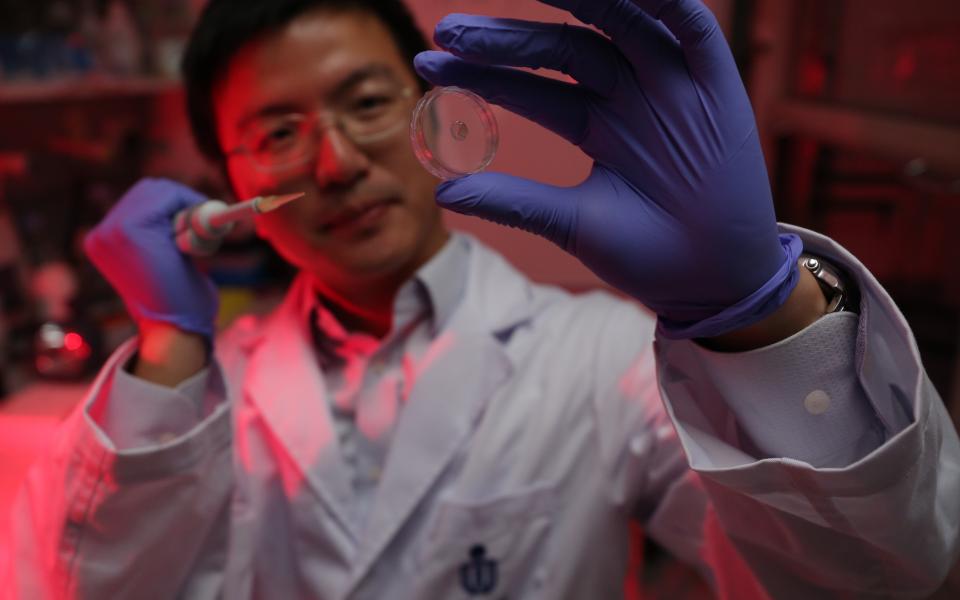 Prof Sun Fei and the new protein-based hydrogel developed by his  team