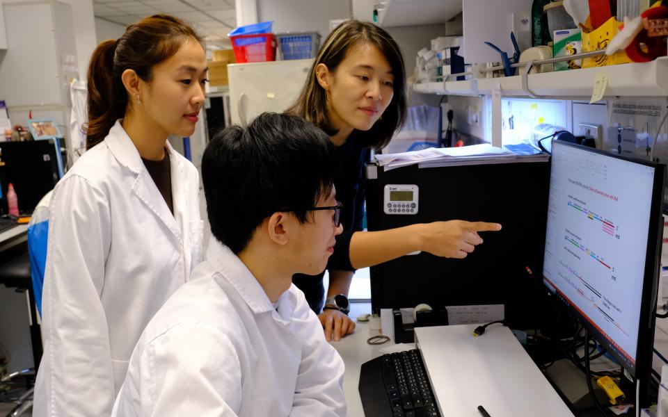 (From right) Prof. Angela WU, Associate Professor of HKUST’s Division of Life Science and Department of Chemical and Biological Engineering, post-doctoral fellow Dr. Lei YU as well as co-author of the paper, TAM Sing Ting