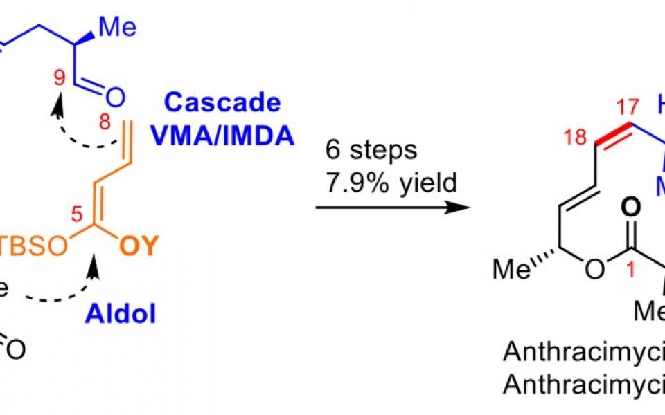 童教授及其团队设计的新型合成炭疽霉素化学路线