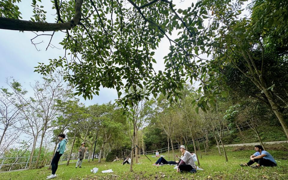 Forest bathing is about inviting our body as the guide