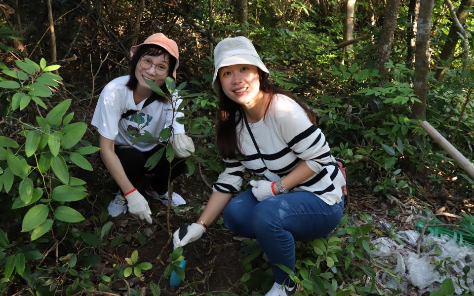 By transplanting these native saplings, including endangered species listed in the IUCN red list, the participants contributed to preserving Hong Kong's unique biodiversity.