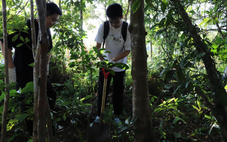 By transplanting these native saplings, including endangered species listed in the IUCN red list, the participants contributed to preserving Hong Kong's unique biodiversity.