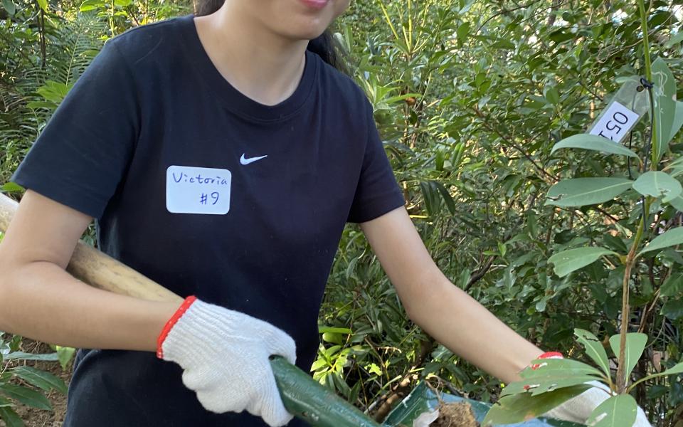 The university community took proactive measures to save the saplings.