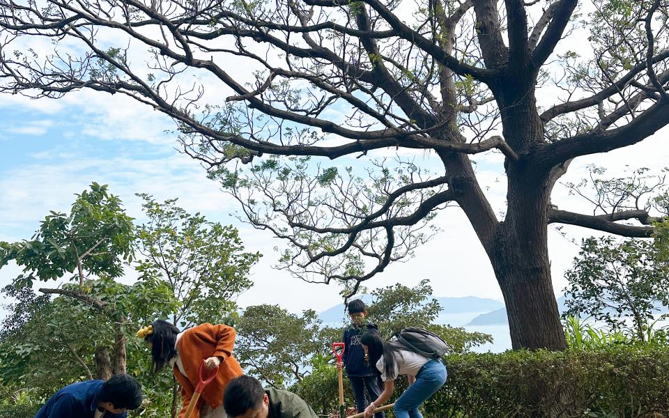 Planting native species helps preserves biodiversity. 