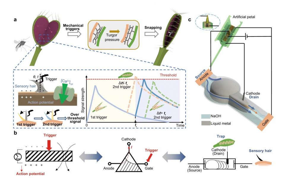 Venus flytrap-inspired liquid metal-based logic module