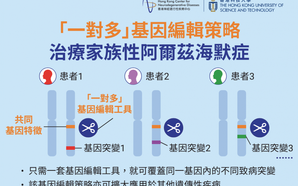 香港科大及香港神經退行性疾病中心的研究團隊開發了一種新型的「一對多」基因編輯策略，用於治療家族性阿爾茲海默症（FAD）。