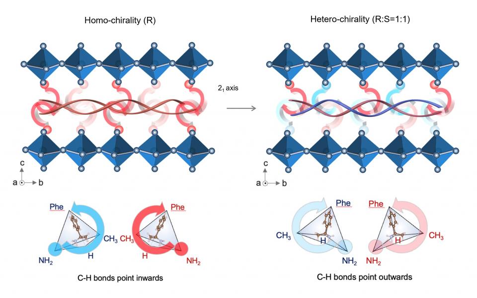 Schematics illustration of the homochiral and heterochiral interface modification concepts invented by Prof. Zhou’s research team.