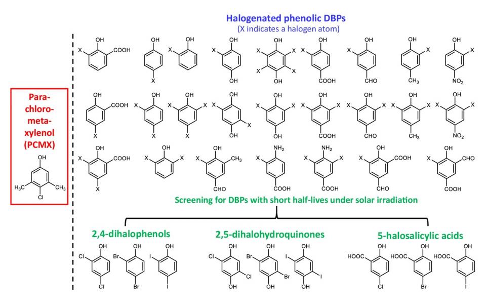 基于卤代酚类消毒副产物的结构特性和光降解动力学来筛选潜在消毒剂的示意图