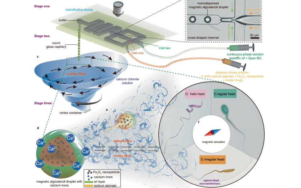 Illustration of the production of polymorphous sperm-like microswimmers using the Vortex Turbulence-Assisted Microfluidics platform.