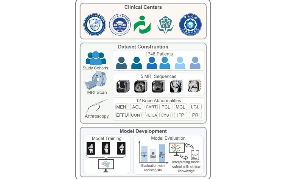 With data from 1,748 patients, the research team constructed a knee MRI dataset. A deep learning model was subsequently developed to assist radiologists in classifying 12 knee abnormalities.