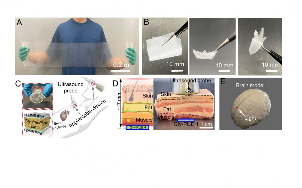 Photographs of a roll of glycine films (A, B) and schemes of through-tissue wireless ultrasonic energy transfer by implanted glycine-based device for in vivo electricity generation and optogenetics (C-E).