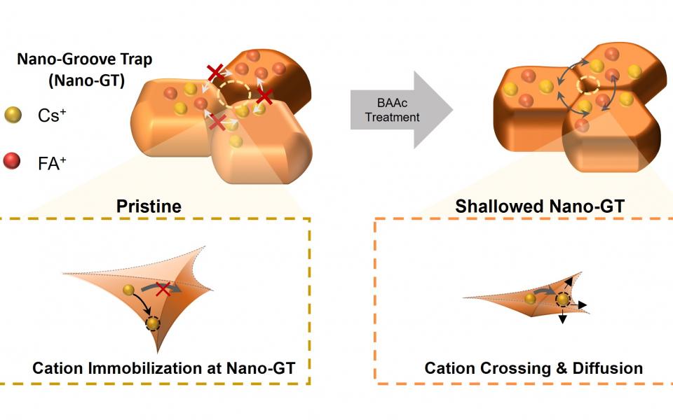 Schematic illustration of the nontrivial cation immobilization at a nanoscale groove trap and the cation relaxation after its shallowing