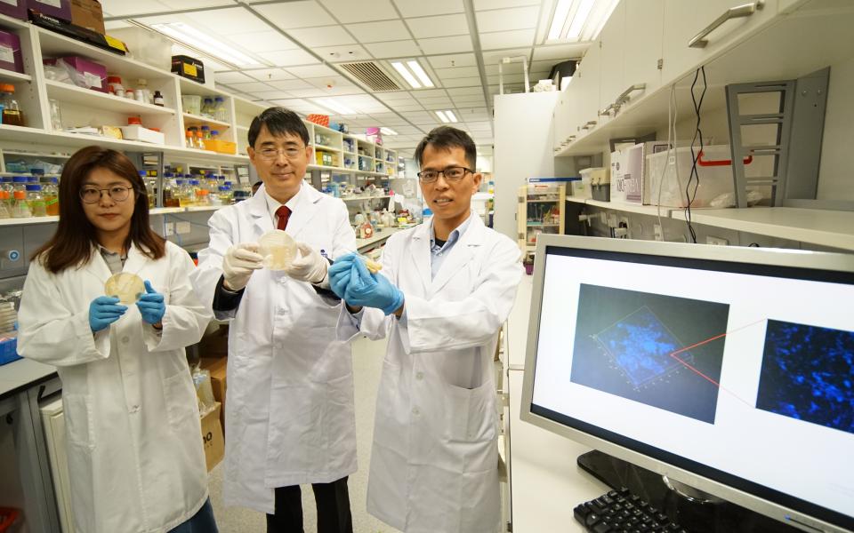 Prof. QIAN Peiyuan (middle) and his team members Dr. LI Yongxin (right) and PhD student WANG Ruojun (left) found 7,000 new marine species by nurturing biofilms in seawater (as shown on microscope and on screen).