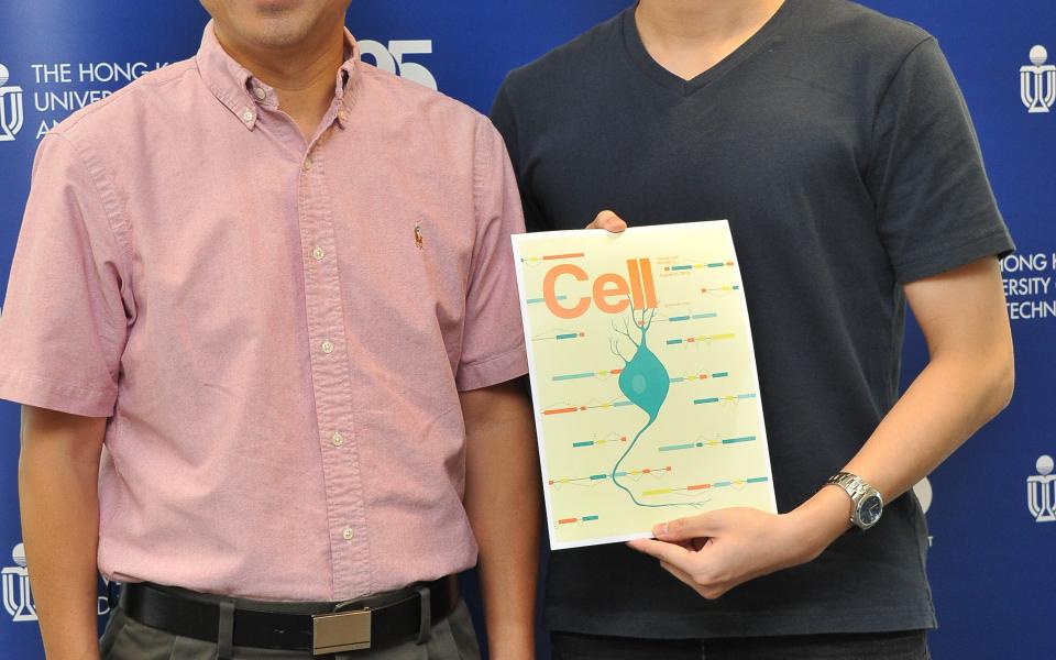 HKUST Researchers Find Possible Mechanisms of Human Brain Disorders That May Shed Light on New