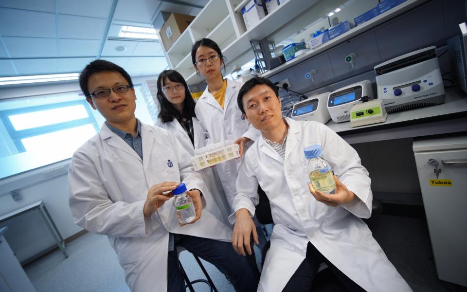 Prof. Zeng Qinglu (front right) and his research team, including first author of the journal paper Liu Riyue (front left).