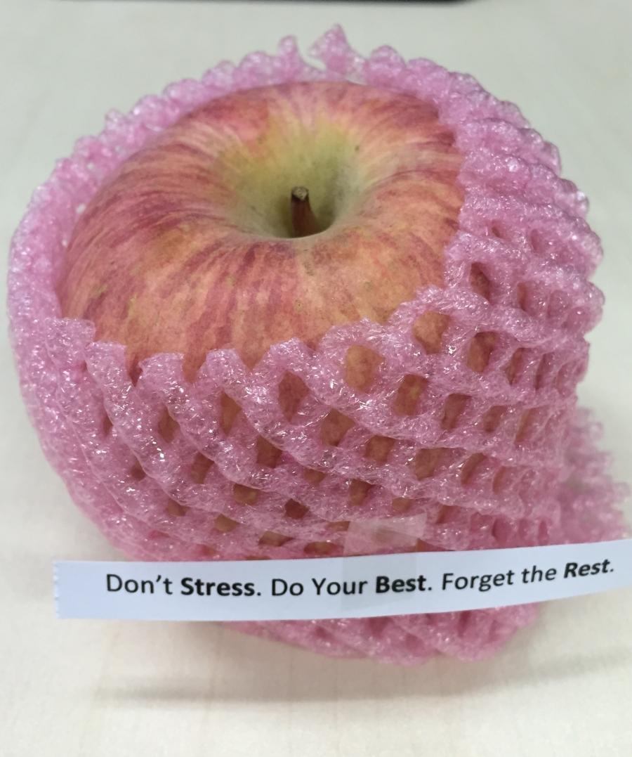 Day 1: Don't Stress. Do Your Best. Forget the Rest.