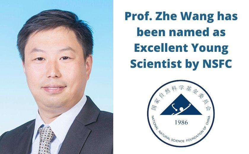 Prof. Zhe Wang has been named as Excellent Young Scientist by NSFC