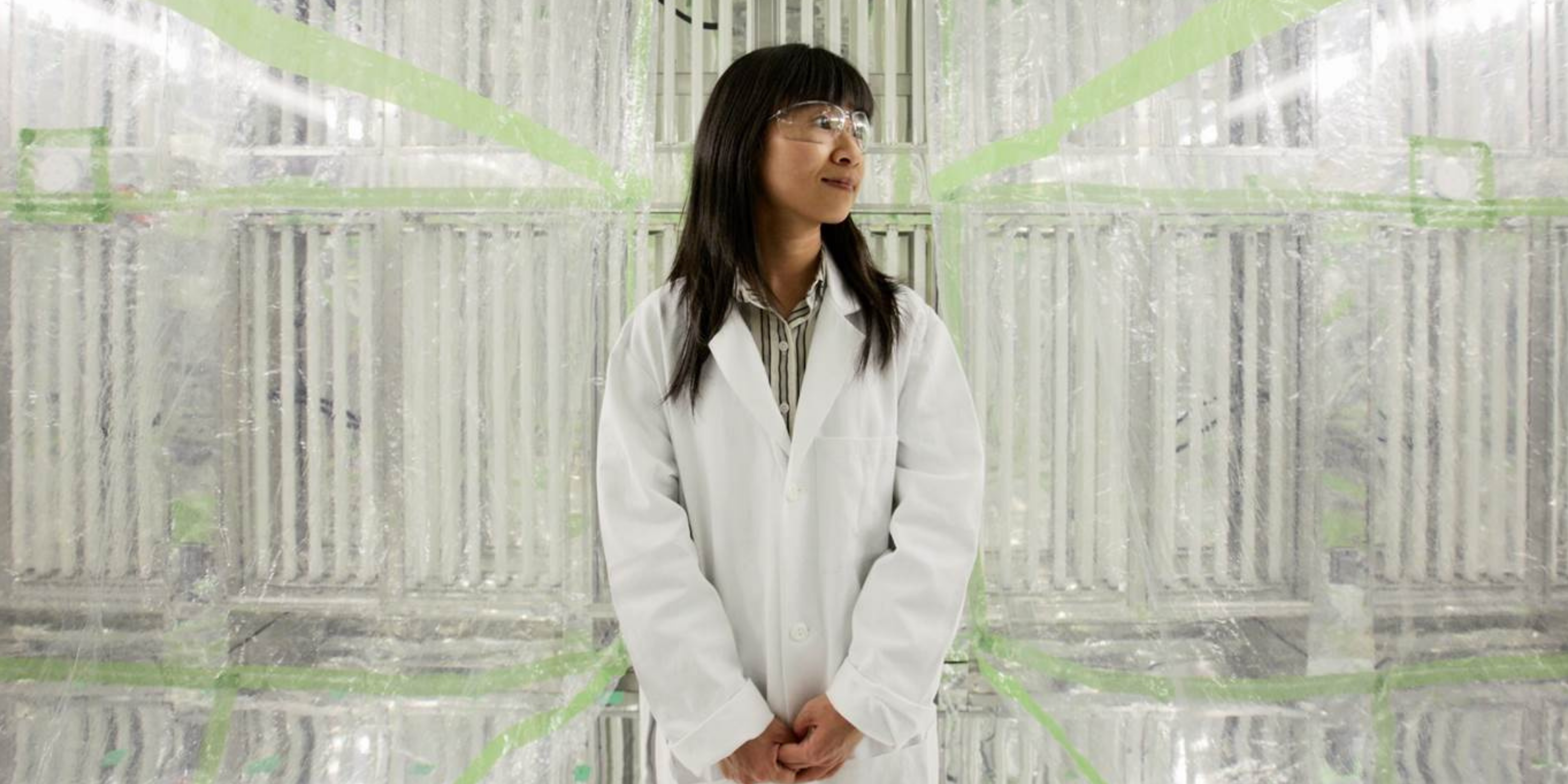 Prof. Sally Ng Nga-Lee inside the Environmental Chamber Facility in her lab at Georgia Institute of Technology, where she is delivering greater understanding of aerosols and air pollution.